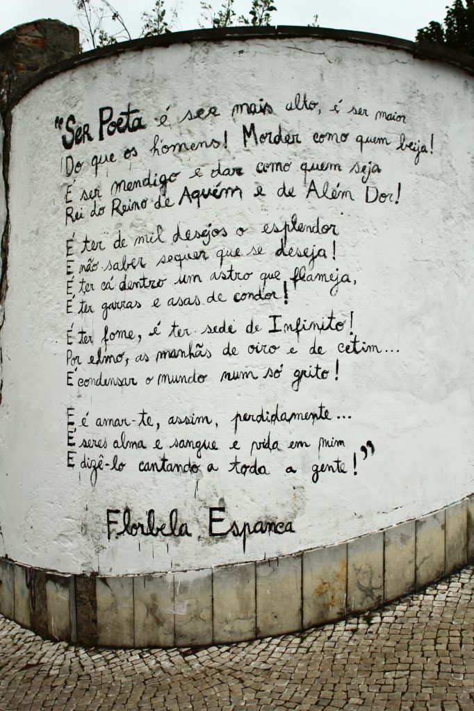 ser poeta – florbela espanca