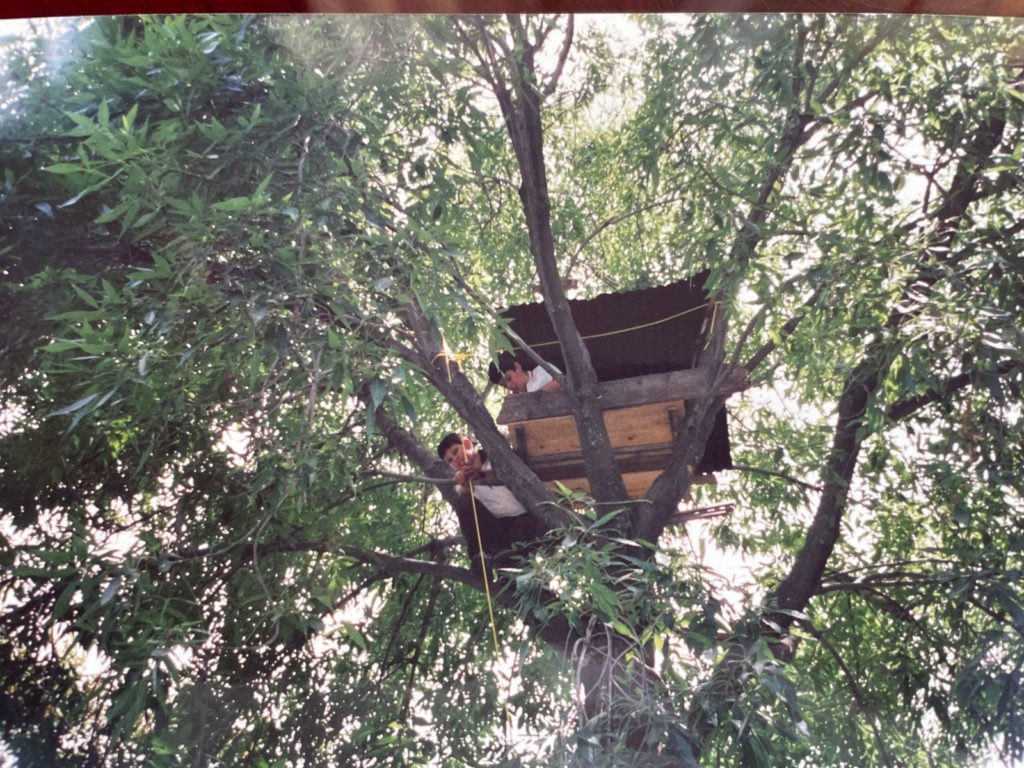 La casa en el árbol